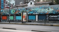 Comex Series: Seher