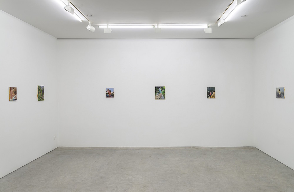 Installation View.