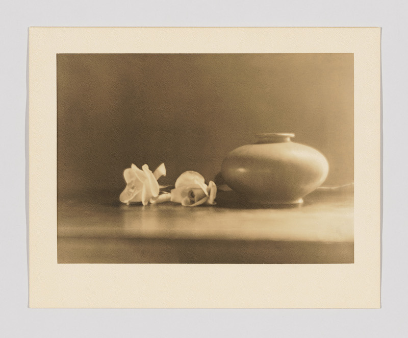 Taizo Kato, Bowl with Two Flowers, c. 1920. Gelatin silver print: sheet, 7 7/8 × 10 in. (20 × 25.4 cm); image, 5 7/8 × 8 3/8 in. (14.9 × 21.3 cm). Whitney Museum of American Art, New York; purchase with funds from the Photography Committee 