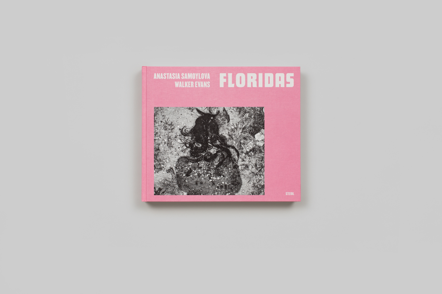 "Floridas," published by MACK