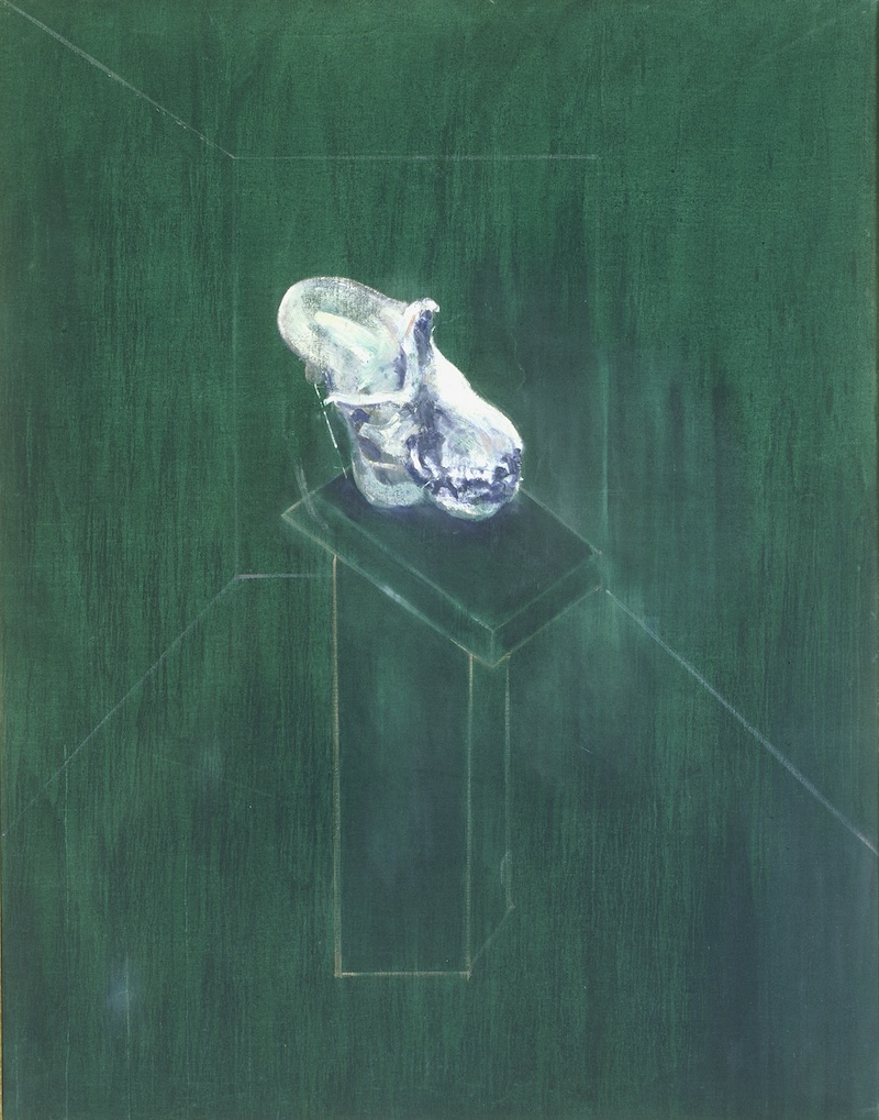 Francis Bacon, Skull of a Gorilla, 1957, oil on canvas. 59 7/8 x 46 ½ in. San Francisco Museum of Modern Art, Fractional gift from Jan Shrem and Maria Manetti Shrem. © The Estate of Francis Bacon. All rights reserved. Artists Rights Society (ARS), New York. Photograph Ben Blackwell.