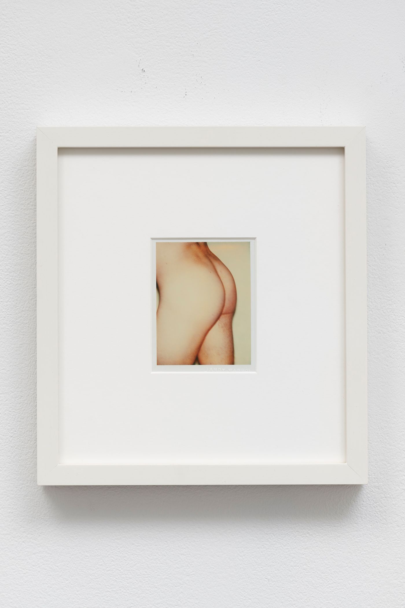 Torso (2/4), 1977 Unique polaroid print (Polacolor Type 108)