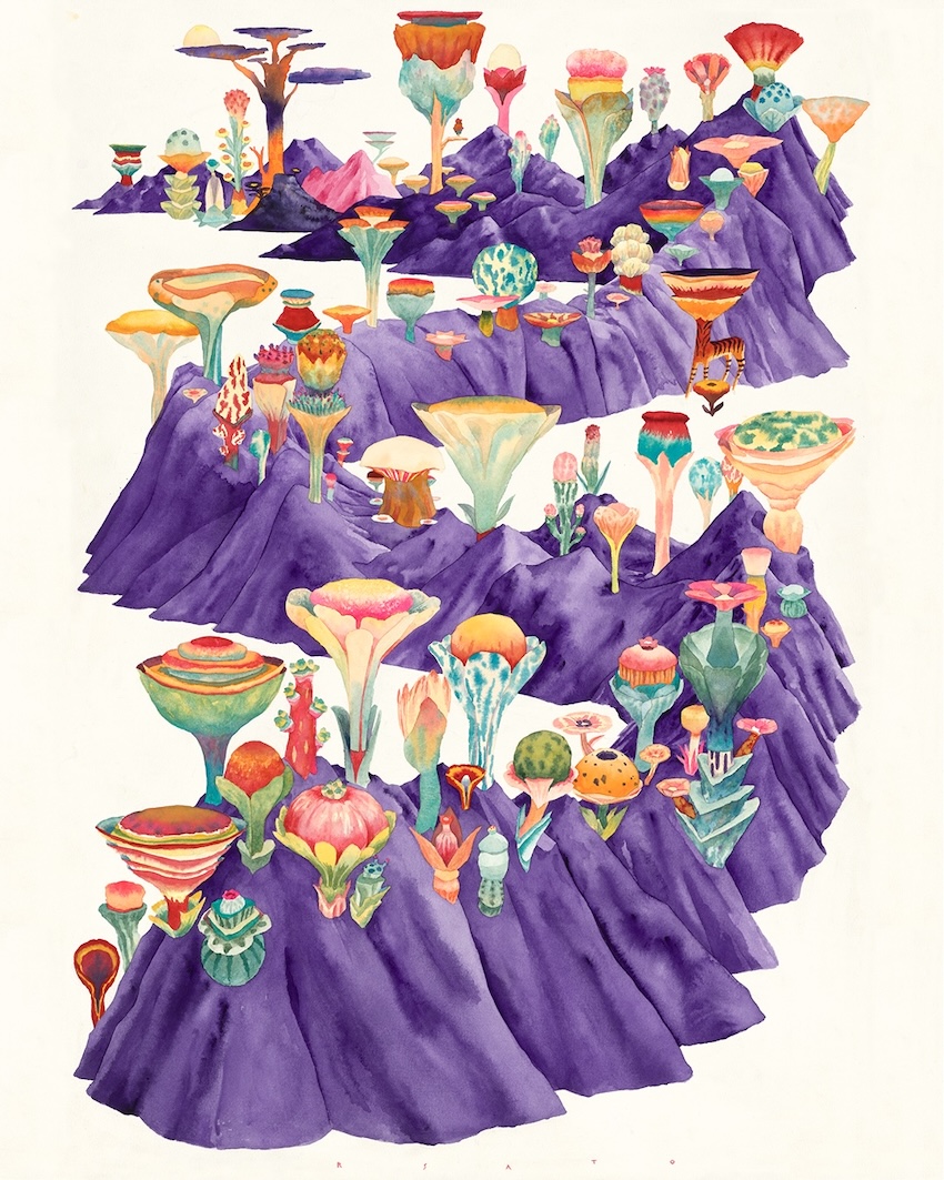 Carousel Image number 1