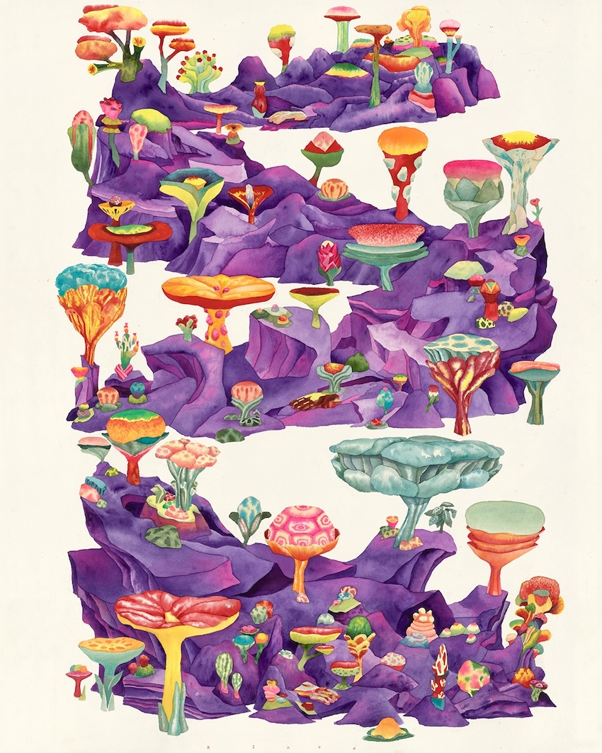 Carousel Image number 4