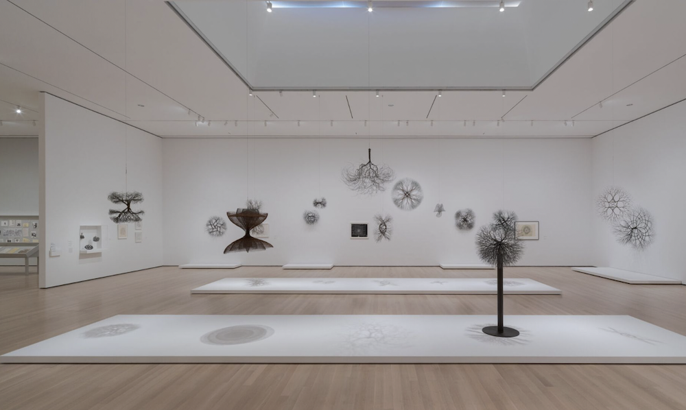 Installation view, Ruth Asawa: A Retrospective, The Museum of Modern Art, New York, 2025 © 2025 The Museum of Modern Art, New York. Photo by Jonathan Dorado. Artworks © 2025 Ruth Asawa Lanier, Inc.