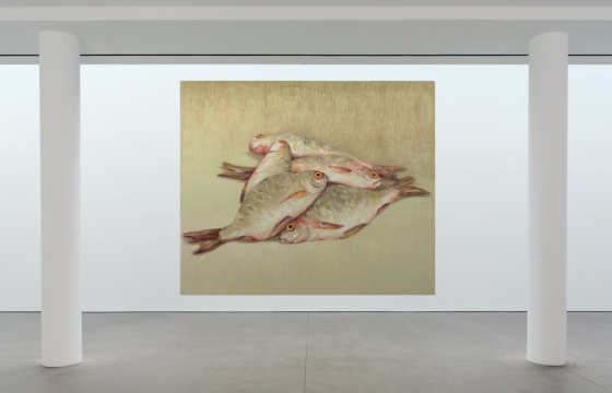 Nicolas Party "Dead Fish" @ Karma, New York