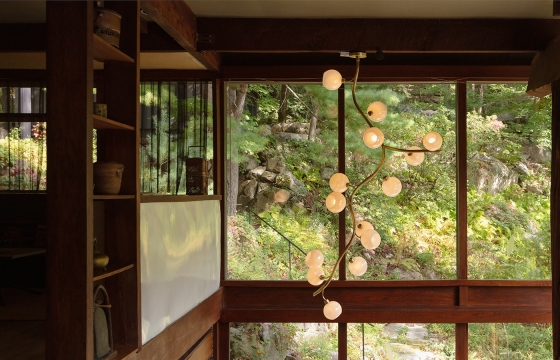 Jeff Zimmerman: Glass Light Nature