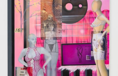 Melissa Brown "Window Shopping" @ Derek Eller Gallery, NYC image