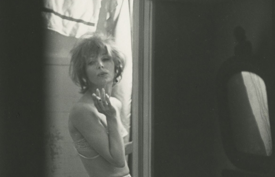 Sheltering in Place: Shooting Through Things with Saul Leiter